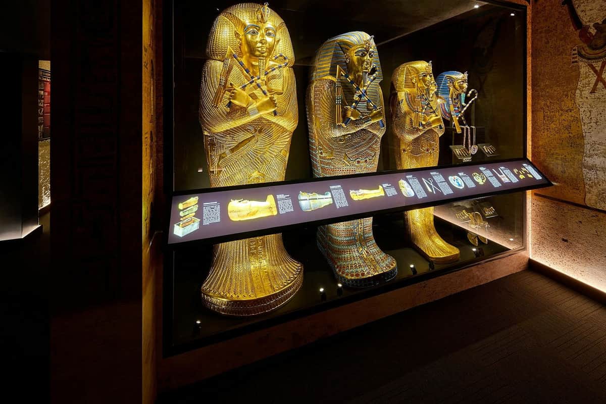 Cairns Aquarium & Tomb of the Pharaohs: Entry Ticket Three ornate sarcophagi on display in a museum, with detailed golden and painted decorations, lit by spotlights.
