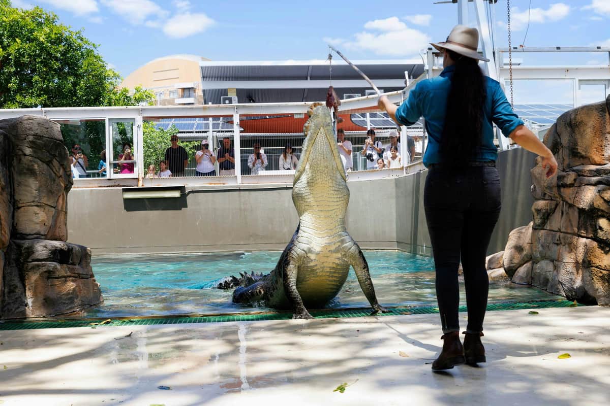 Crocosaurus Cove: Entry Ticket Photo of product