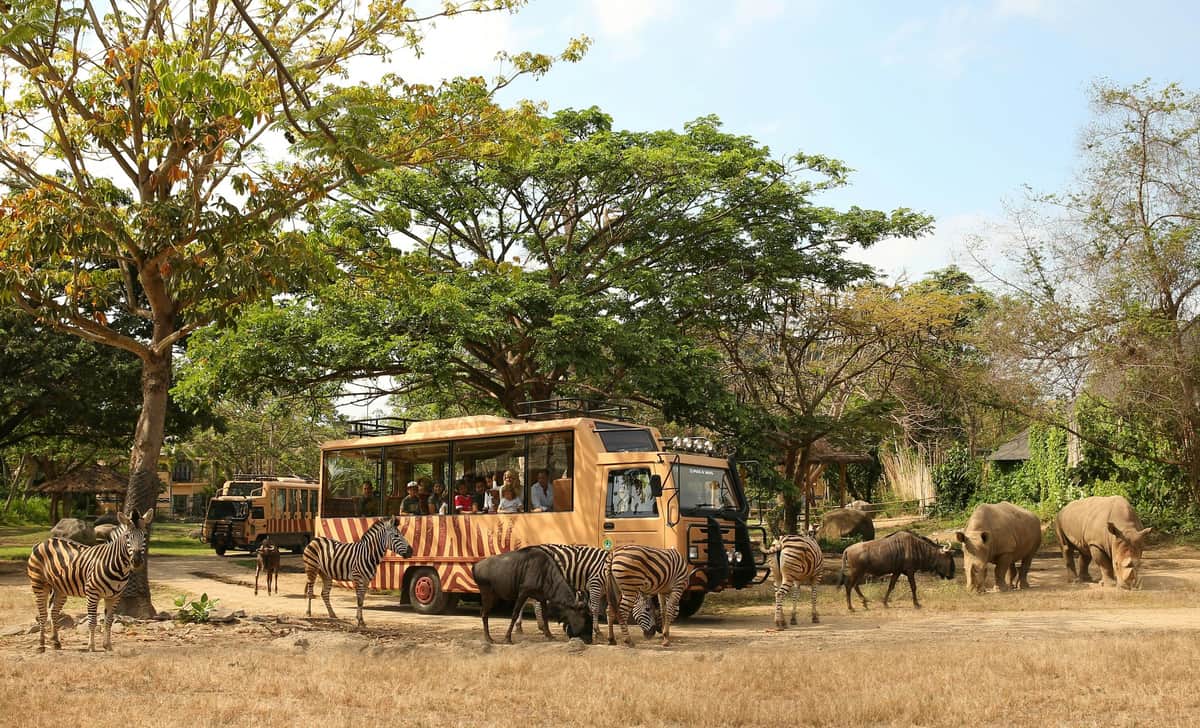 A safari vehicle with people inside is surrounded by zebras and wildebeests in a grassy, tree-filled area.