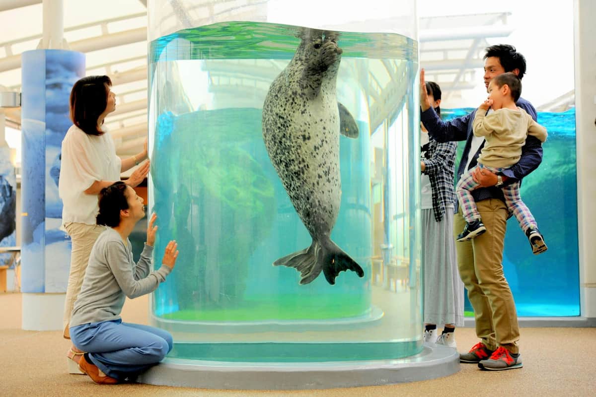 Kyoto Aquarium: Entry Ticket A family observes a seal swimming in a cylindrical aquarium at an indoor facility.