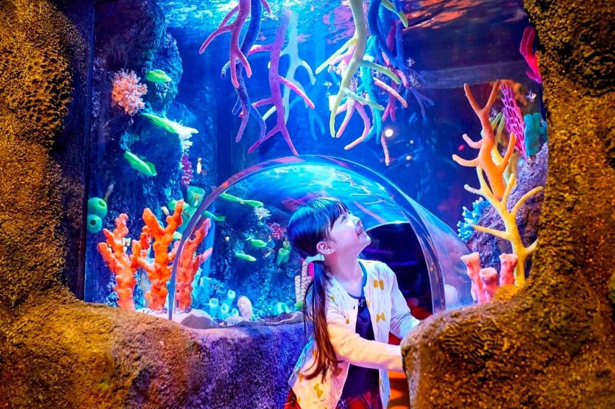SEA LIFE Nagoya: Entry Ticket A child looking up while walking through a transparent tunnel in an aquarium surrounded by colorful marine life and coral.