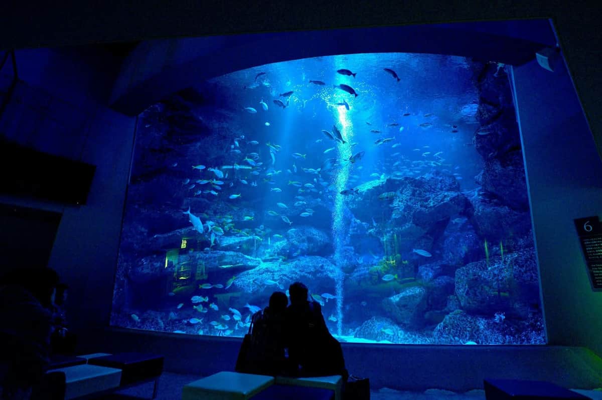 Sumida Aquarium: Entry Ticket Sumida Aquarium