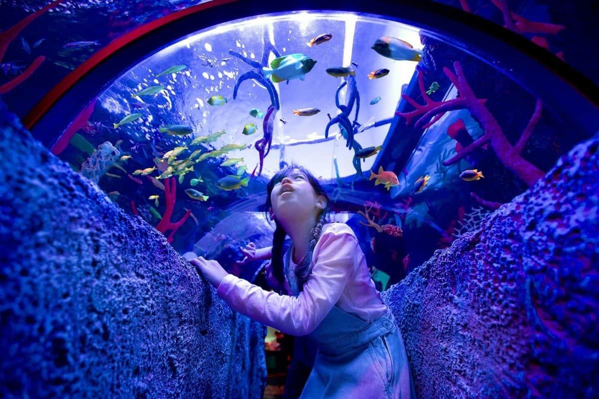 SEA LIFE Malaysia: Entry Ticket Sea Life Malaysia