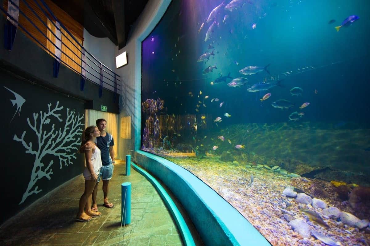 Interactive Aquarium Cancún: Entry Ticket Cancun Interactive Aquarium