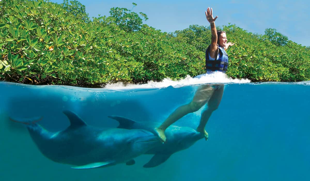 Delphinus Xcaret: Entry Ticket + Transfers + Swim with Dolphins A person in a life jacket rides on two dolphins in water, with lush greenery visible in the background.