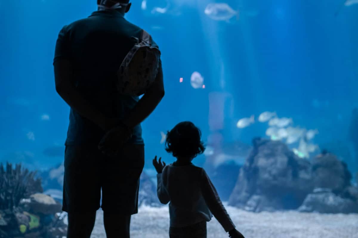 Oceanário de Lisboa: Private Guided Tour Private Guided Tour of Oceanário de Lisboa