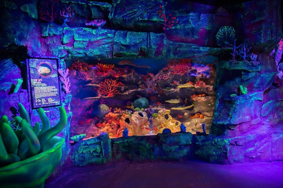 A vibrant aquarium display featuring colorful coral reefs, marine plants, and simulated underwater lighting effects.