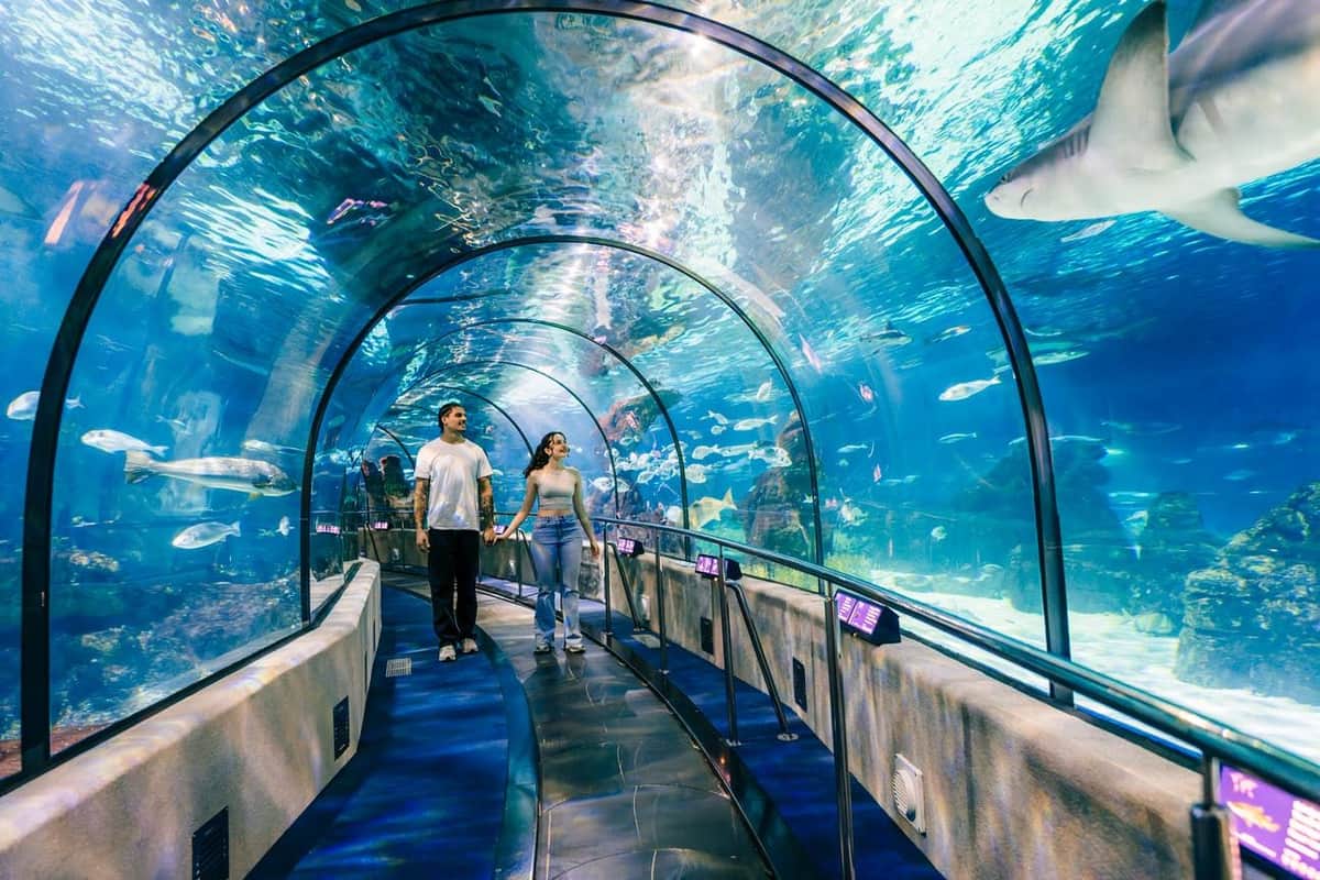 Barcelona Aquarium: Entry Ticket A couple walking through an underwater tunnel in an aquarium, surrounded by fish and marine life visible through the glass walls.