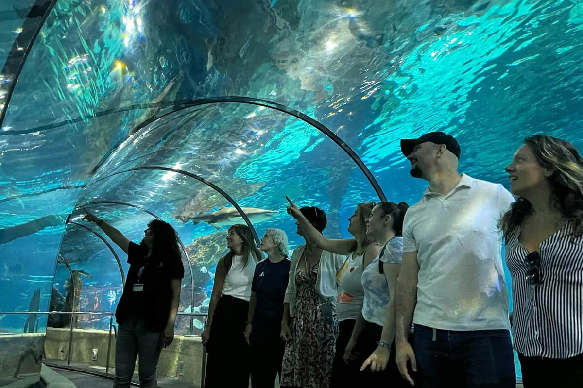 Barcelona Aquarium: Guided Tour A GUIDED TOUR