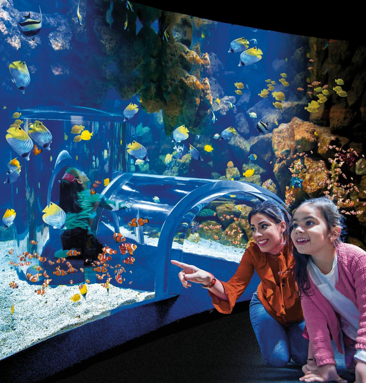 Poema del Mar - Aquarium Gran Canaria: Skip The Line Ticket A woman and a girl are observing fish through a transparent tunnel in an aquarium. Coral and various fish are visible in the background.