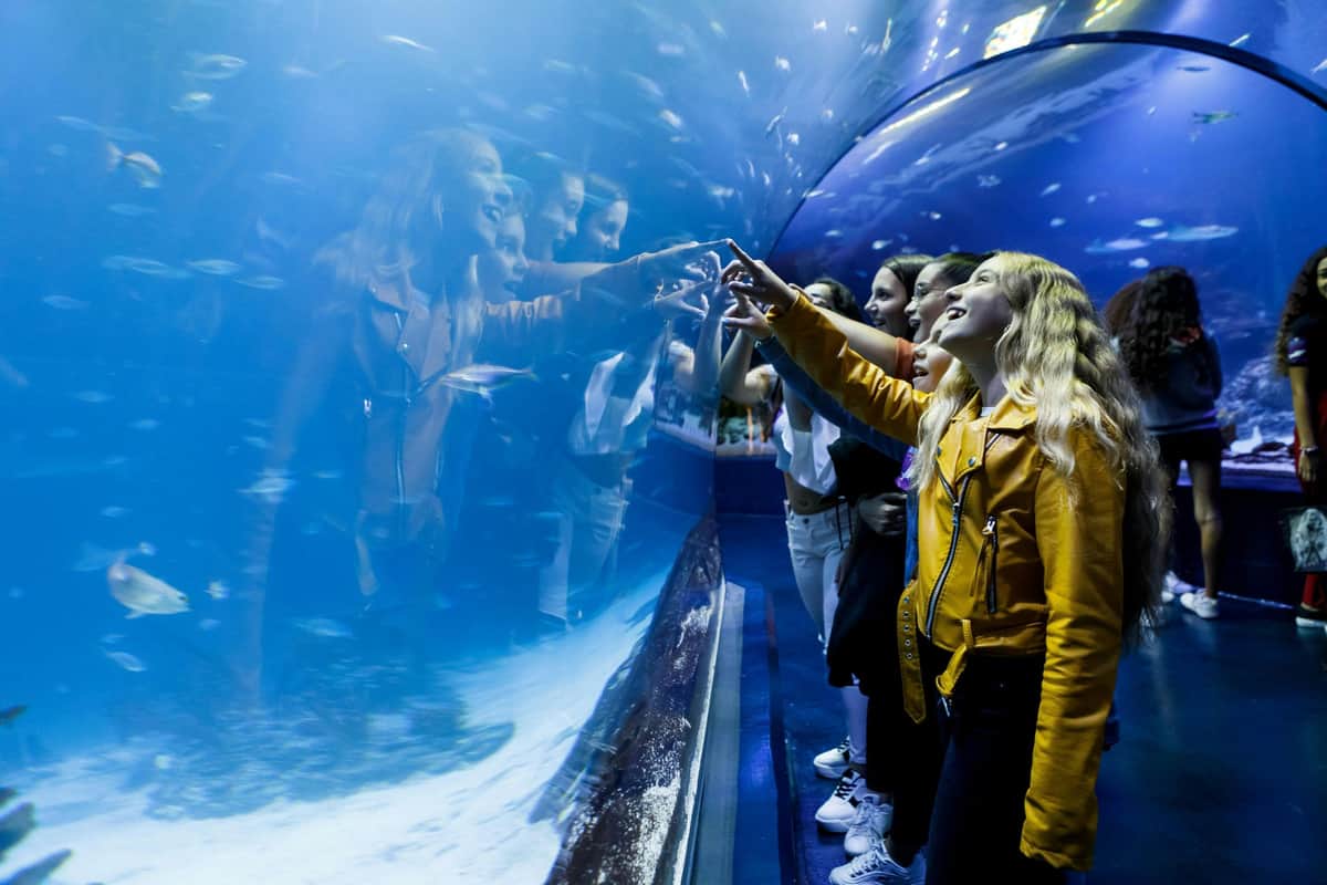 Atlantis Aquarium Madrid: Entry Ticket Atlantis Aquarium