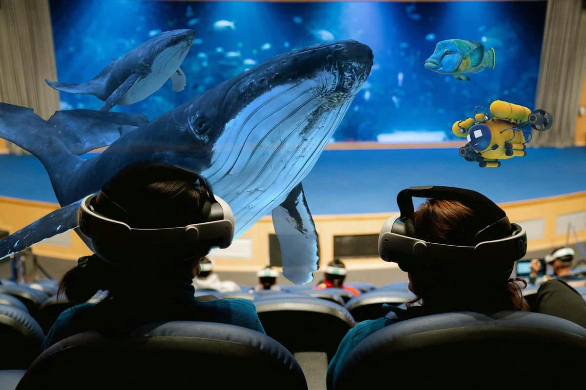 Ludzie siedzący w goglach VR w teatrze i oglądający wirtualną podwodną scenę z wielorybami i rybami.