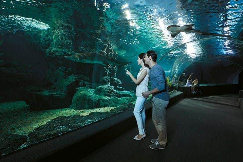 SEA LIFE Bangkok Ocean World & Madame Tussauds Two people observe sharks swimming in a large, underwater tunnel aquarium. Other visitors are seated in the background.
