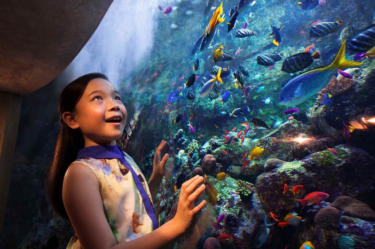 A young girl gazes excitedly at colorful fish through an aquarium wall, with a vibrant coral reef in the background.