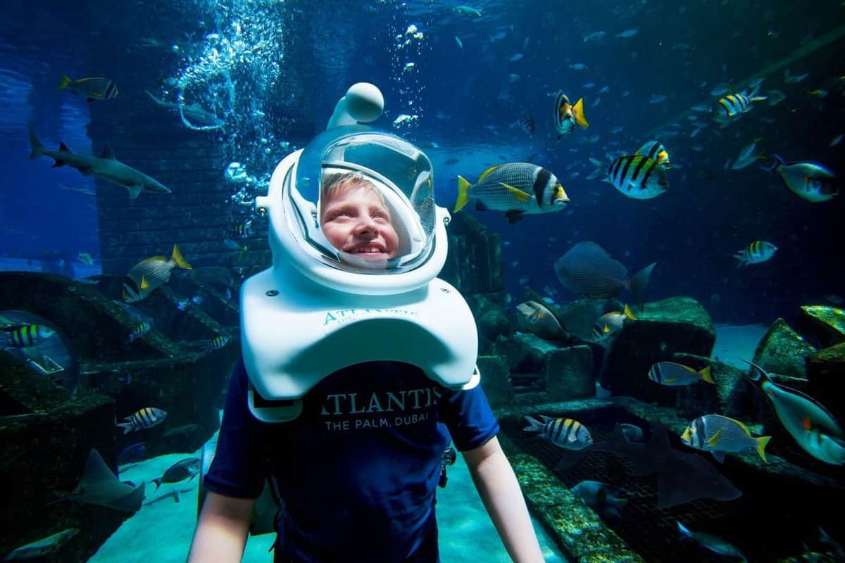 Atlantis The Palm, Shark Safari