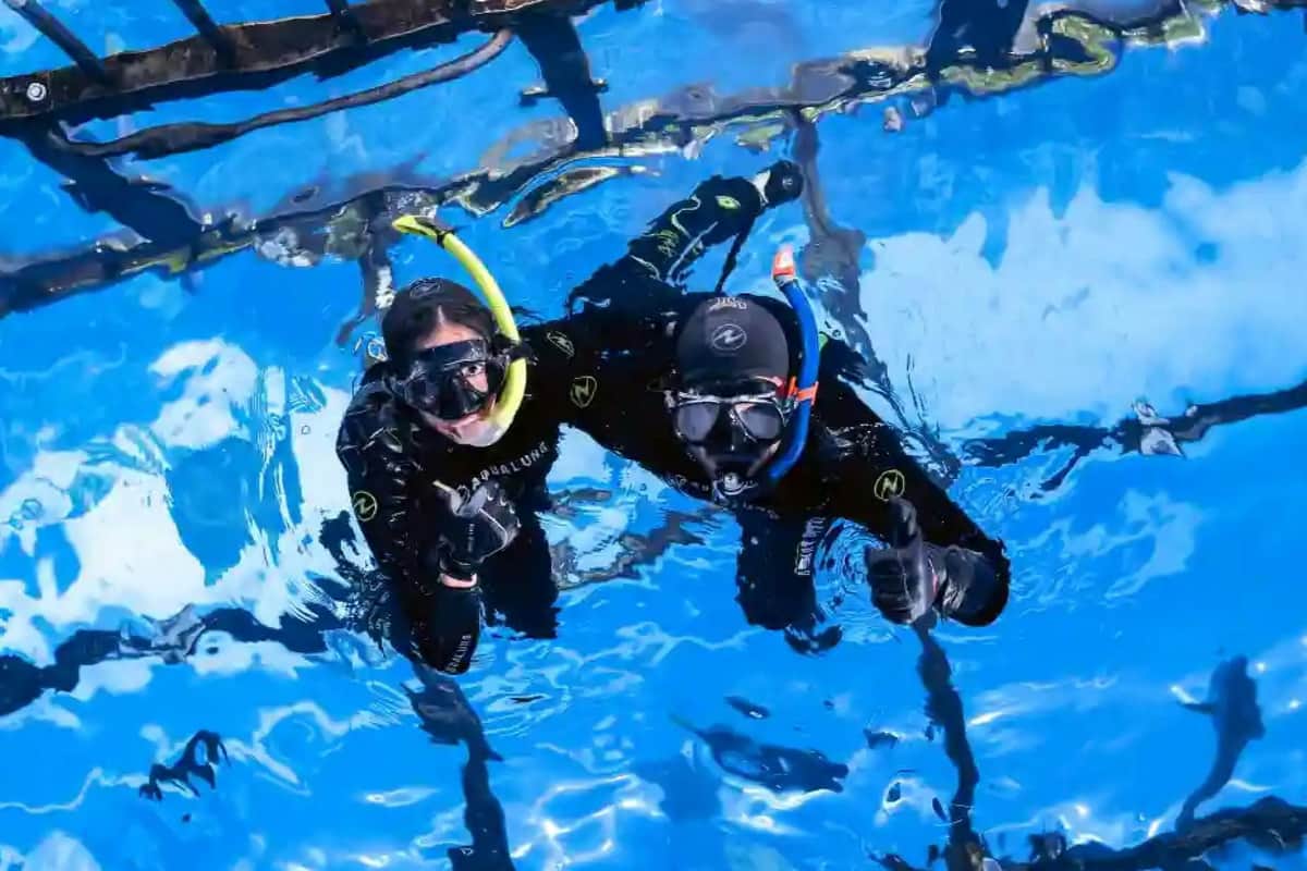Dubai Aquarium and Underwater Zoo: Cage Snorkeling Two divers in wetsuits and snorkeling gear floating in a pool, smiling and gesturing, with a metal structure visible above.