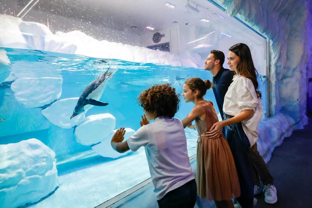 Dubai Aquarium & Underwater Zoo: Entry Ticket A family of four observes a penguin swimming in an aquarium through a large glass enclosure in a brightly lit environment.