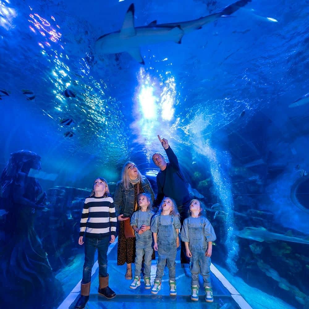 SEA LIFE Birmingham: Entry Ticket A family with three children looks up at a shark swimming in an underwater tunnel at an aquarium.