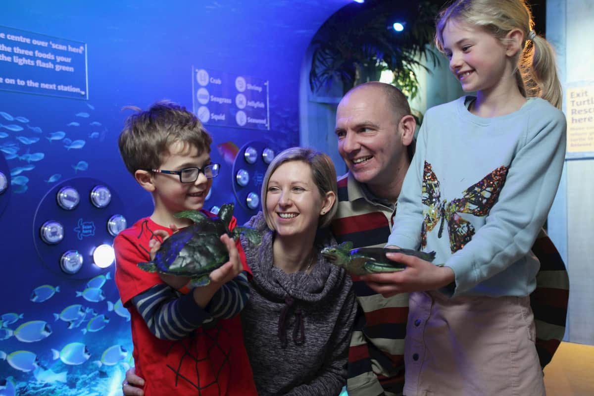 SEA LIFE Blackpool: Entry Ticket A family of four smiling and holding toy turtles inside a dimly lit, blue-themed exhibit room.