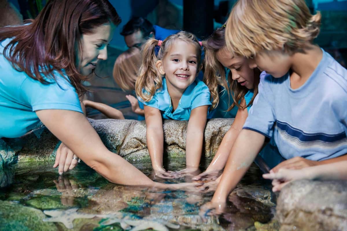 SEA LIFE Manchester: Entry Ticket Children and an adult interact with marine life in a touch tank at an aquarium, smiling and engaged.
