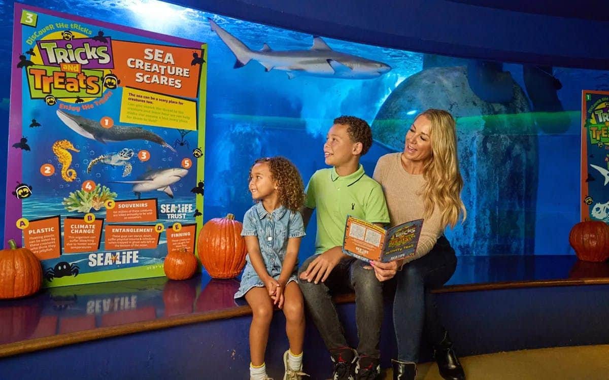 SEA LIFE Aquarium at American Dream: General Admission A woman reads to two children on a bench in front of an aquarium tank with a shark. Two pumpkins are next to them.