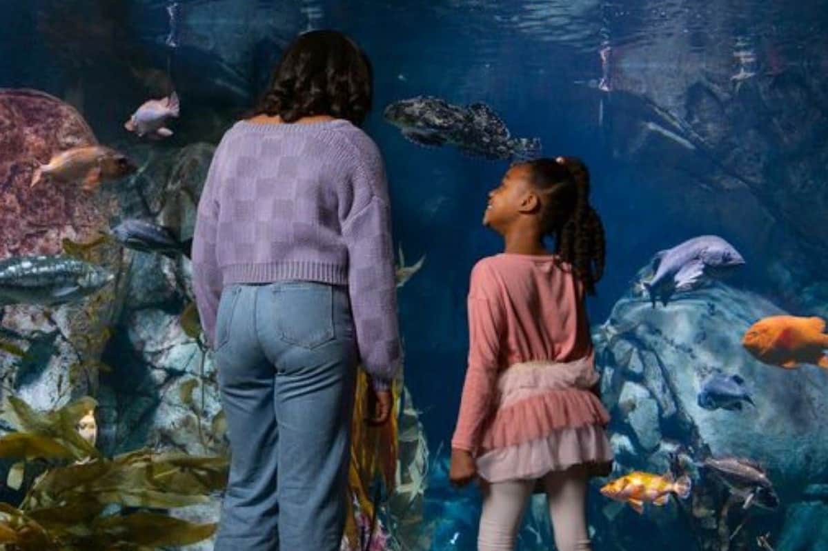 Aquarium of the Pacific: Skip The Line Ticket Aquarium of the Pacific