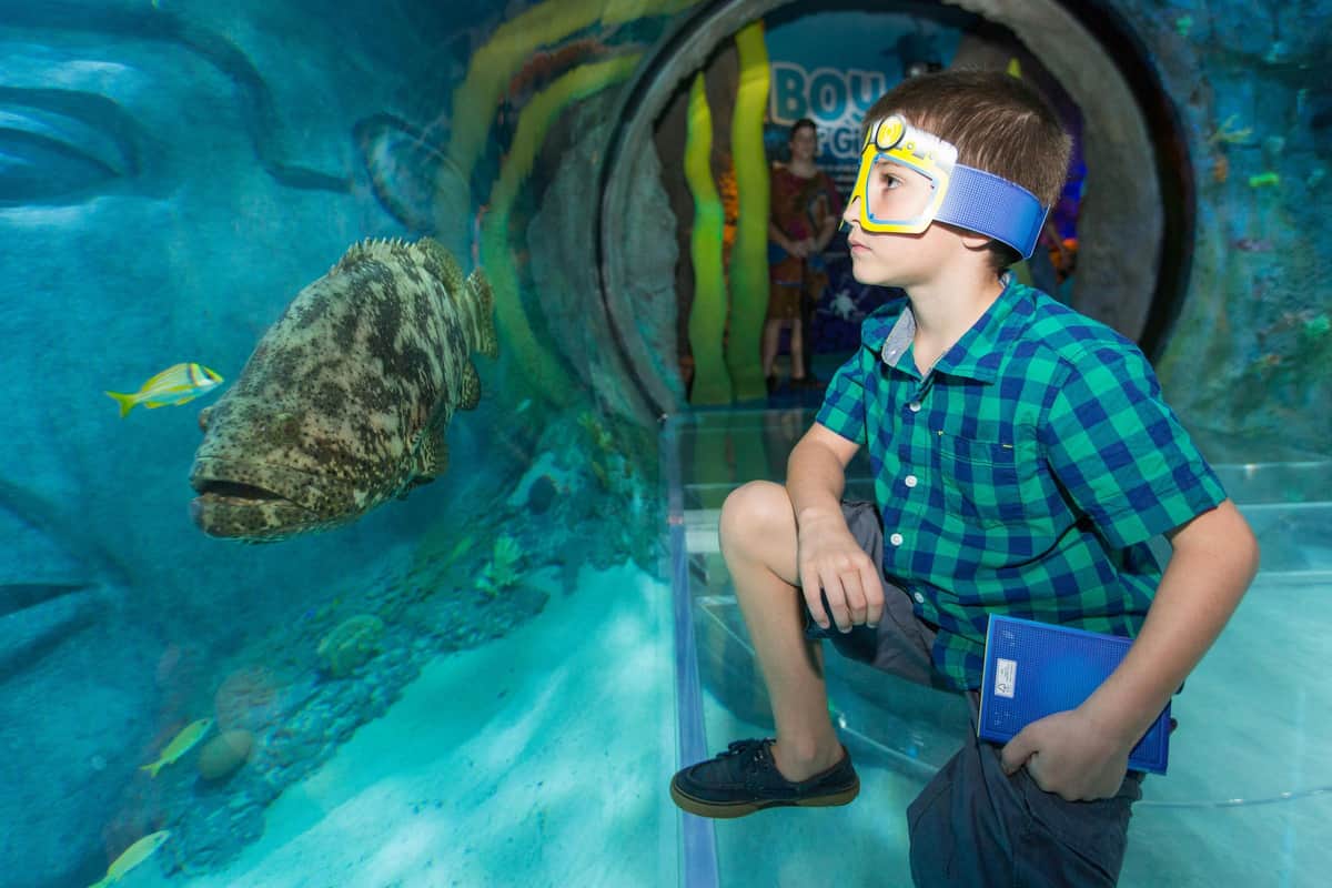Ein Junge in einem grün karierten Hemd steht in einem Aquarientunnel, trägt eine Schutzbrille und hält ein blaues Notizbuch in der Hand.