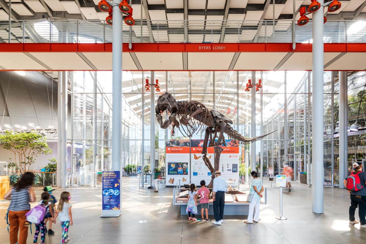 Visitors observe a dinosaur skeleton exhibit in a spacious, well-lit lobby with glass walls and a sign reading "Byers Lobby" above.