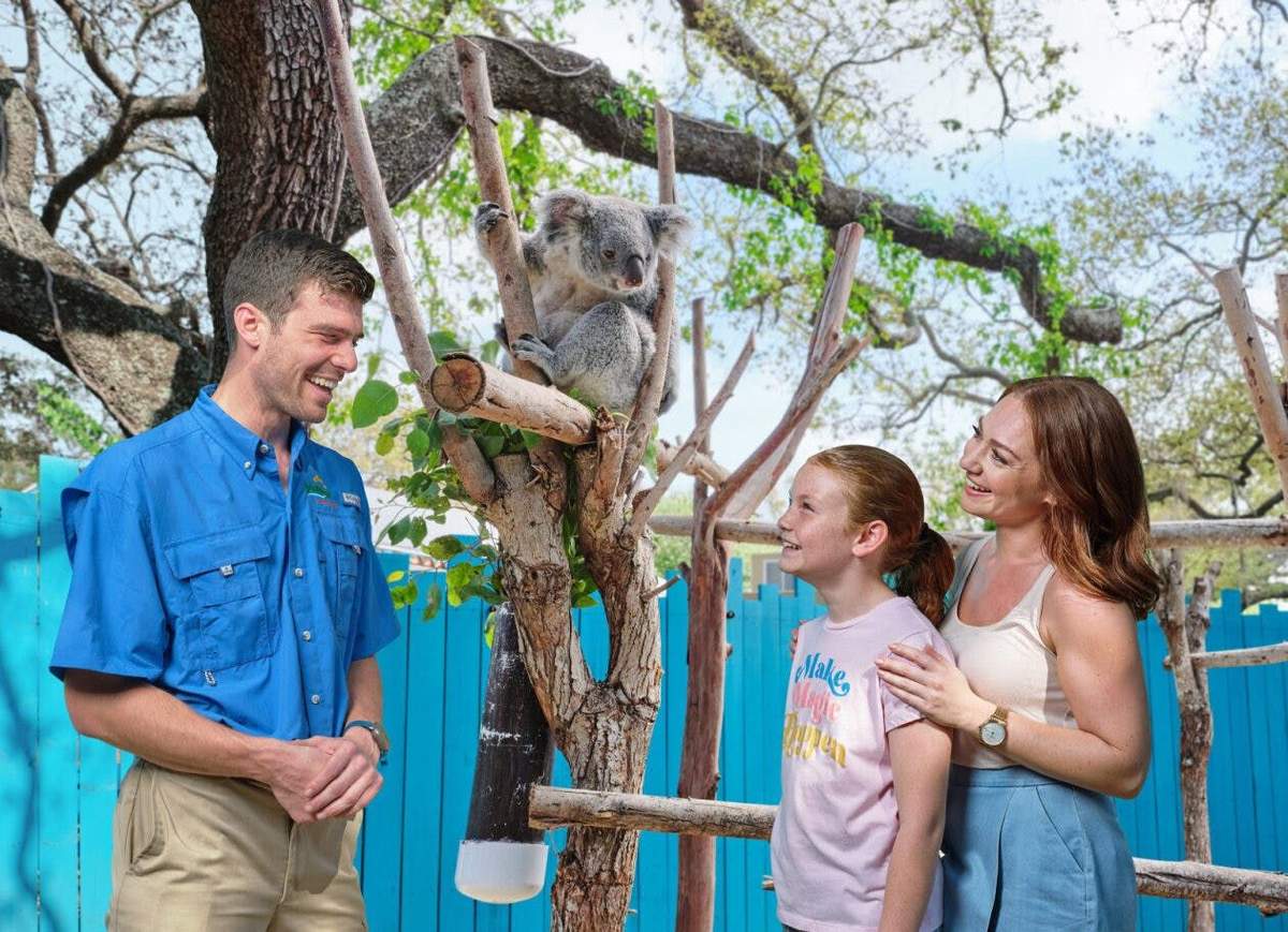 The Florida Aquarium & ZooTampa at Lowry Park: Entry Ticket A man in a blue shirt, a woman, and a child look up and smile at a koala sitting on a tree branch against a blue fence background.