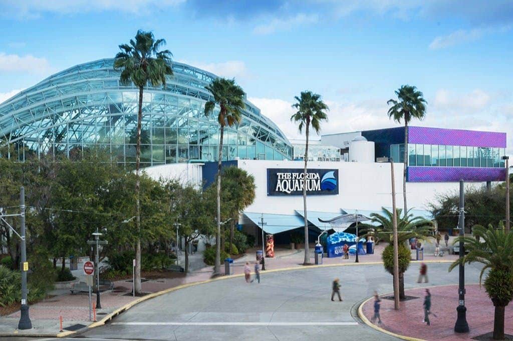 The Florida Aquarium: Entry Ticket Exterior view of The Florida Aquarium, featuring a glass-domed structure, palm trees, and a clear blue sky.