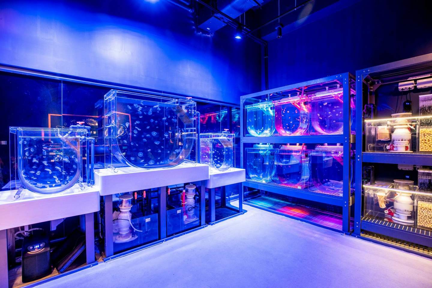 香港キューブOディスカバリーパーク