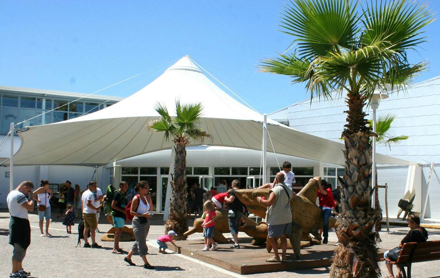 Seaquarium Le Grau-du-Roi People interact and play around a wooden sculpture under a large, white canopy with palm trees nearby on a sunny day.