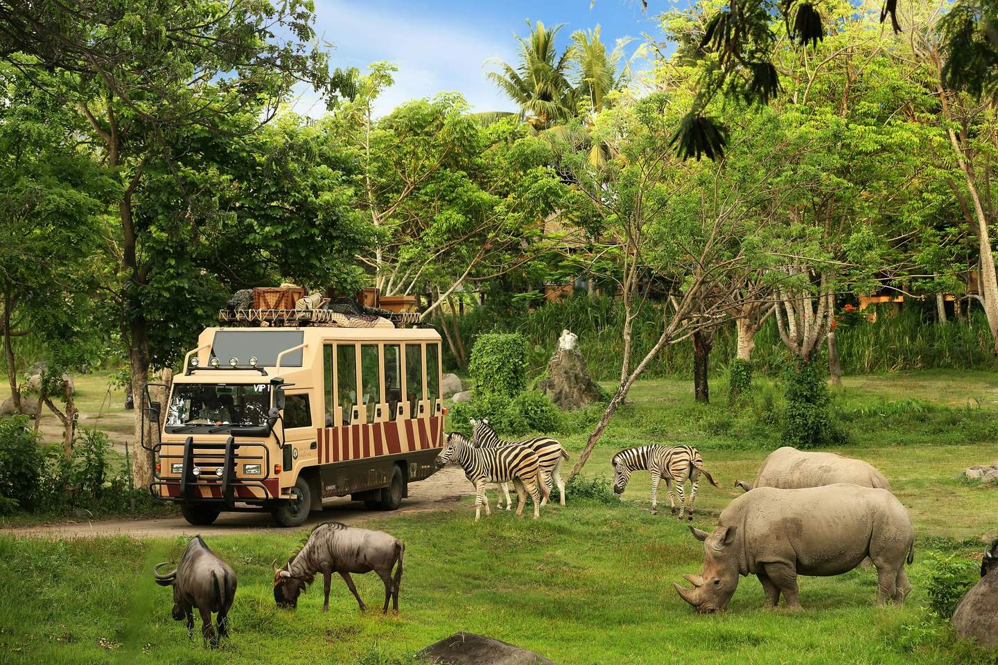 Safari bus in a green landscape with zebras, rhinos, and wildebeests grazing nearby. Dense trees and blue sky background.