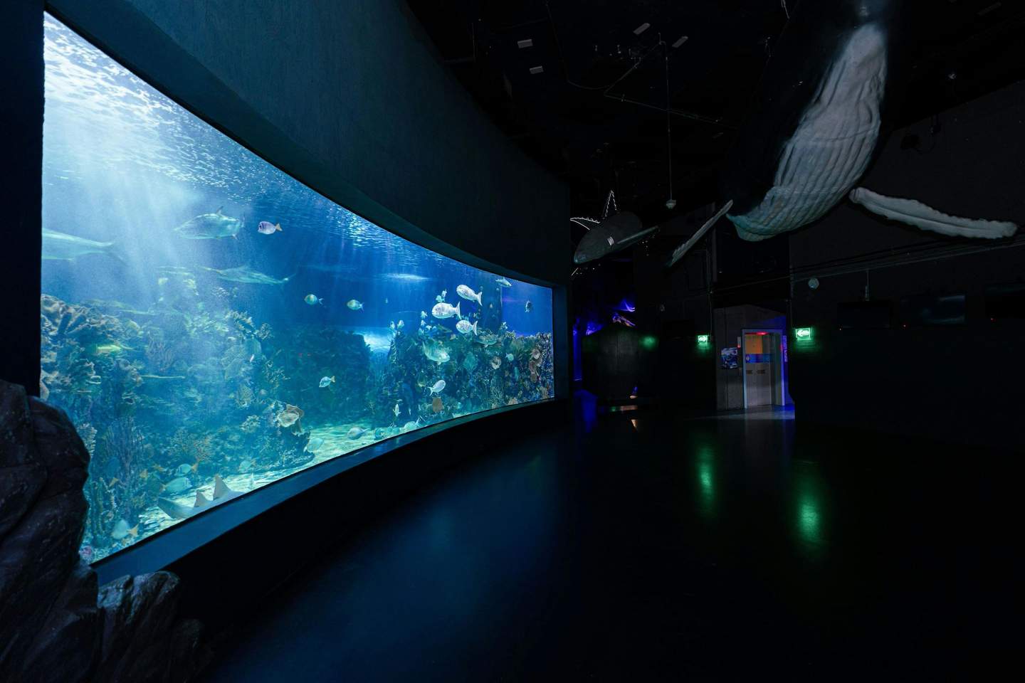 Inbursa Aquarium Acuario Inbursa CDMX