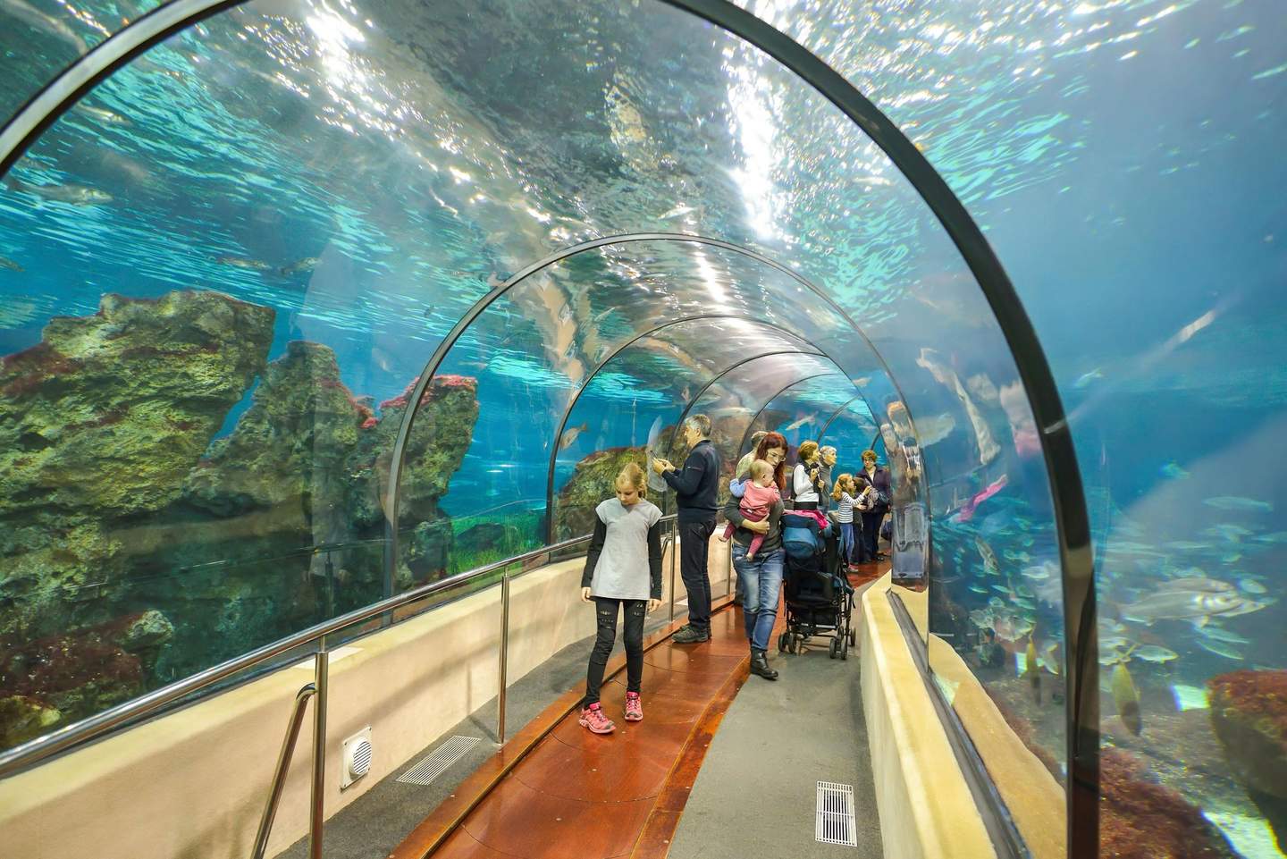 Barcelona Aquarium Visitors walk through an underwater tunnel in an aquarium, surrounded by fish and coral, with some using strollers.