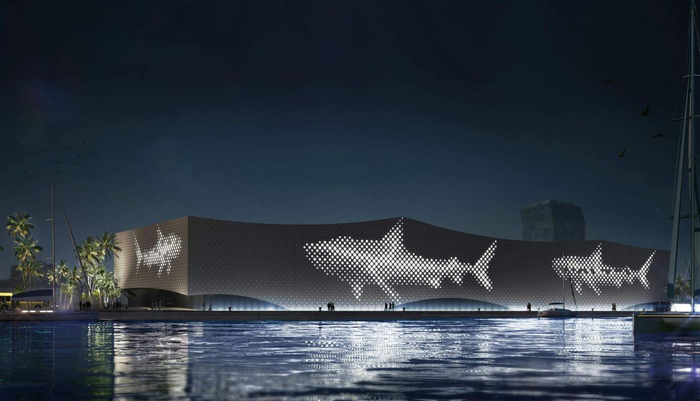 Poema del Mar - Aquarium Gran Canaria A modern, illuminated building with shark designs on the facade, palm trees, and boats on a waterfront at night.