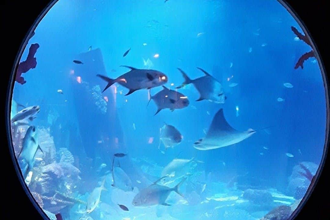 Emaar Aquarium Emaar Aquarium
