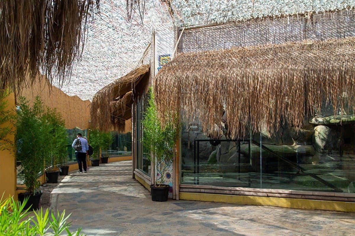 Viaport Theme Park with Aquarium and Lion Park A person walks along a curved path under a woven canopy, flanked by potted plants and buildings with thatched roofs.