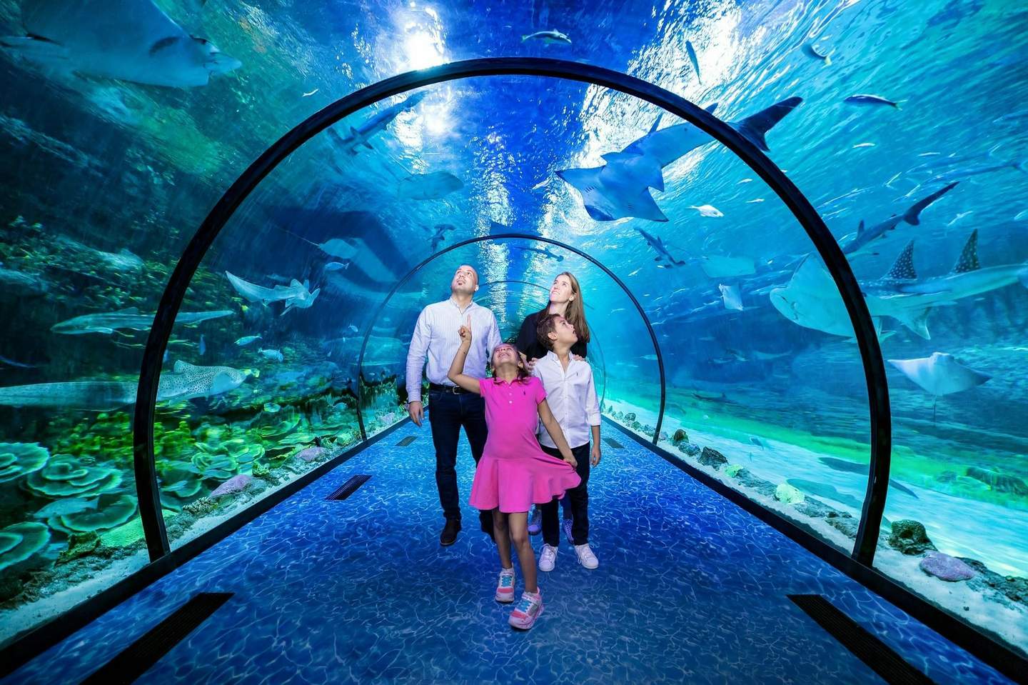 The National Aquarium Abu Dhabi The National Aquarium Abu Dhabi