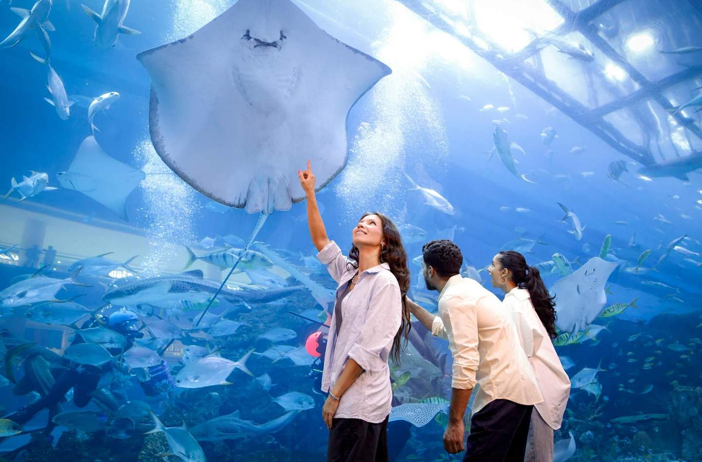 Dubai Aquarium & Underwater Zoo Three people observe a large stingray and other marine life through an aquarium window in a vibrant underwater display.