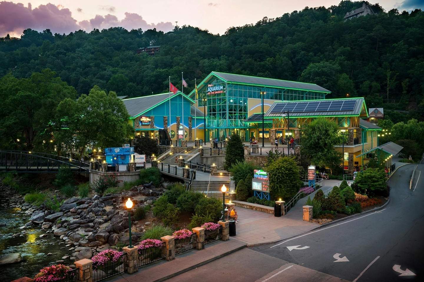 Ripley's Aquarium of the Smokies An aquarium complex with illuminated signs, a bridge over a rocky stream, flower beds, and pathways surrounded by lush trees.