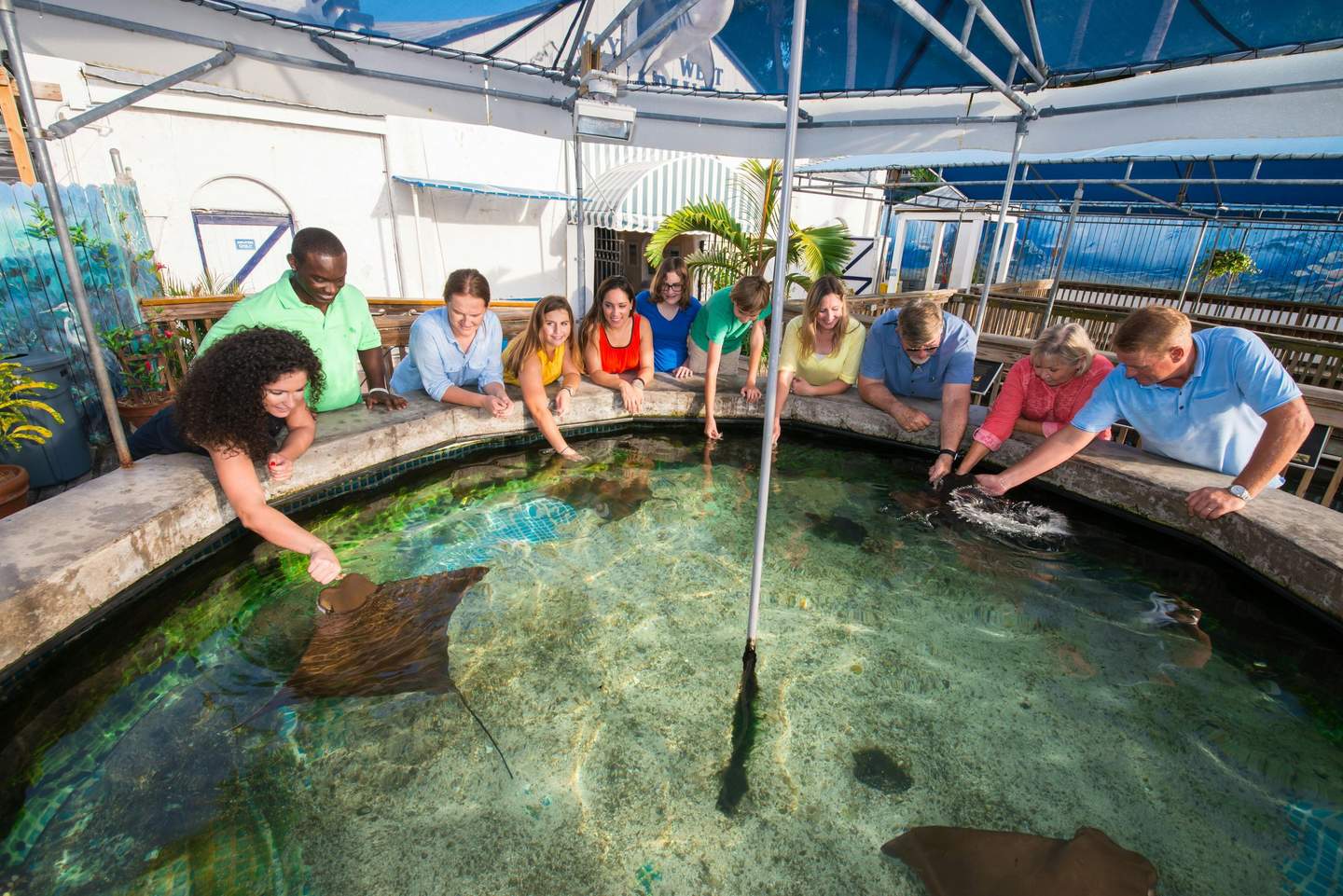 Key West Aquarium A group of people stands around a touch pool, interacting with stingrays in an outdoor aquarium setting.