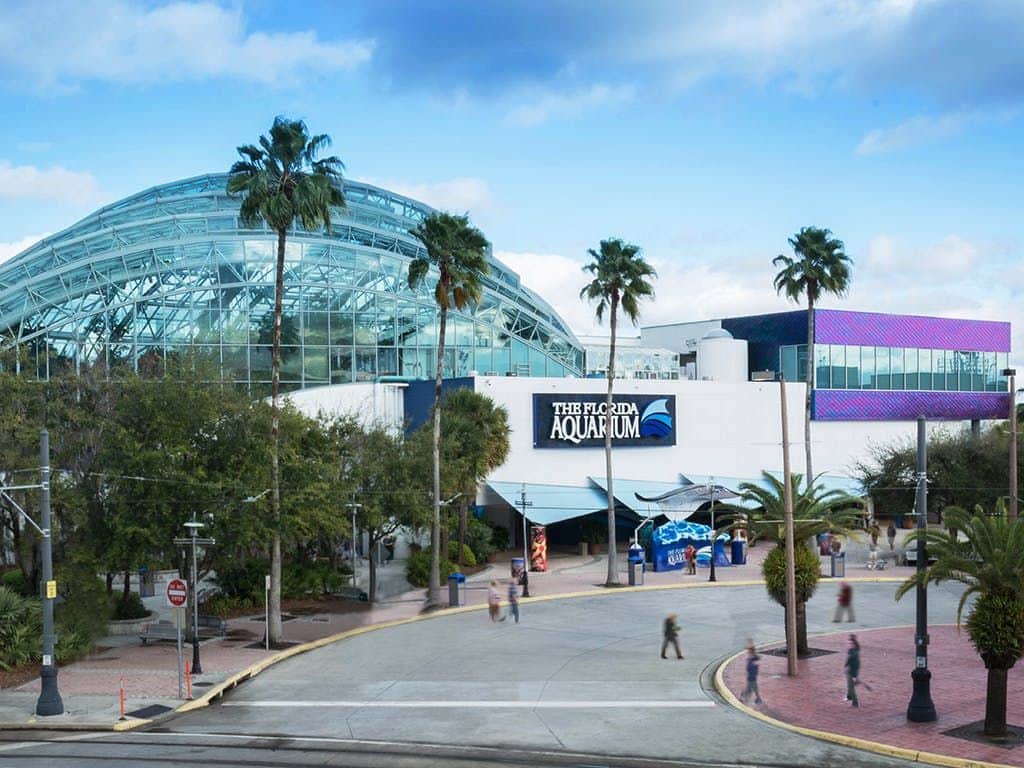 The Florida Aquarium Exterior of The Florida Aquarium with a glass dome roof, palm trees, and a few people walking near the entrance.