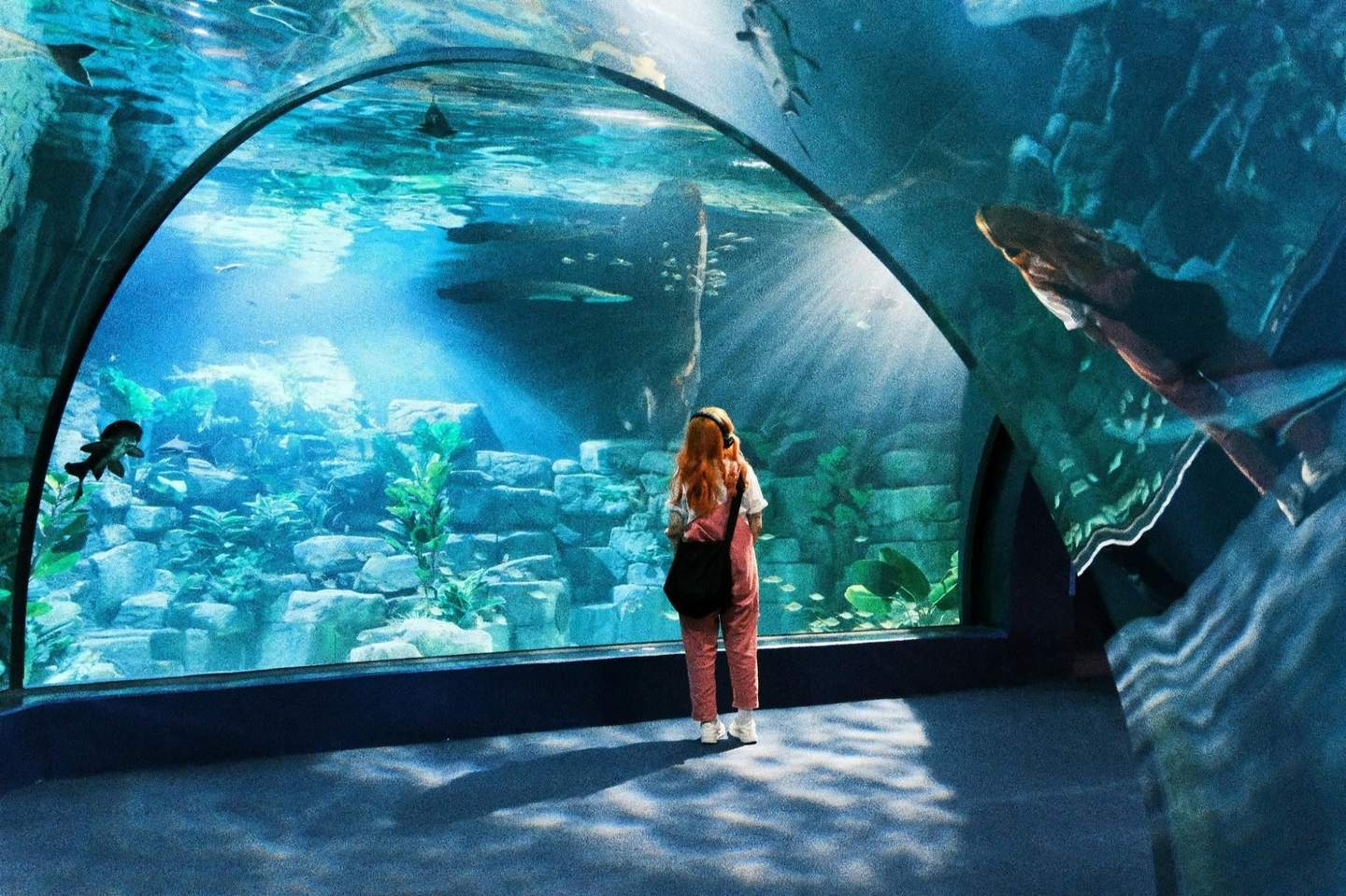 A person with long hair stands in front of a large aquarium, observing fish and underwater plants through the glass.