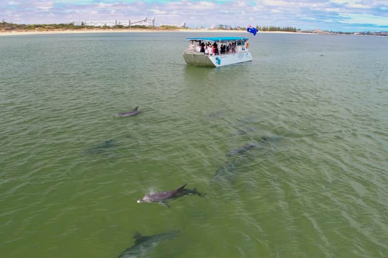 Dolphin Discovery Centre Bunbury: Eco-Cruise Tour Dolphin Discovery Centre Bunbury: Eco-Cruise Tour