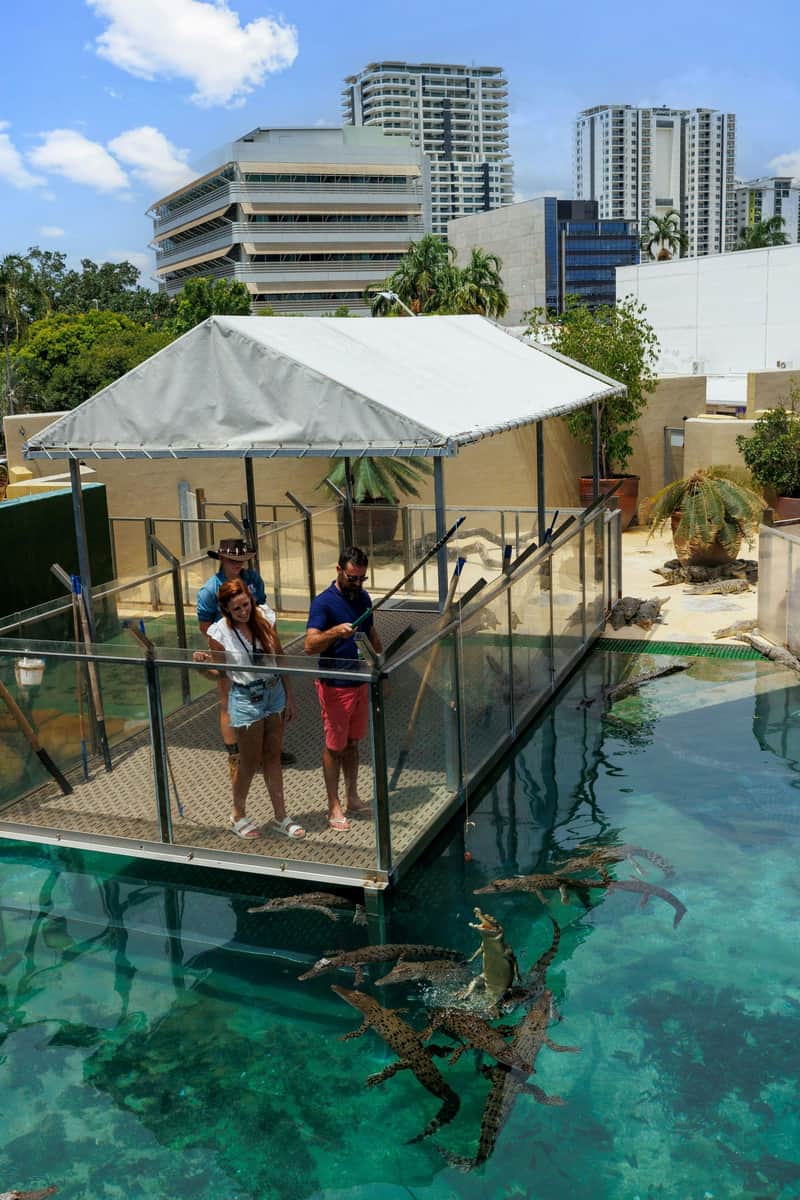 Big Croc Encounter VIP Tour