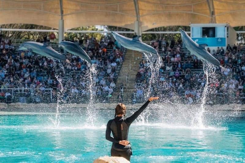 Sea World Single Day Pass Ticket Sea World Single Day Pass Ticket