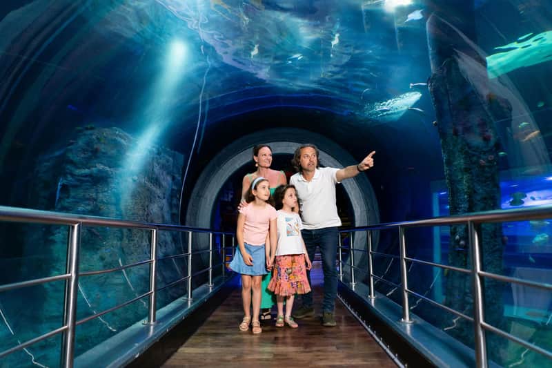 SEA LIFE Melbourne & LEGOLAND® Discovery Centre Combo Ticket SEA LIFE Melbourne & LEGOLAND® Discovery Centre Combo Ticket
