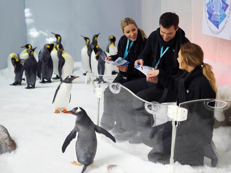 SEA LIFE Melbourne: Penguin Passport Experience SEA LIFE Melbourne: Penguin Passport Experience