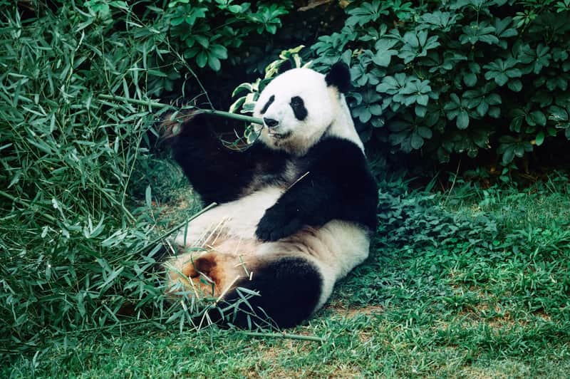 홍콩 오션파크 입장권